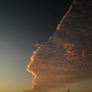 Meet your Posher, Anaid